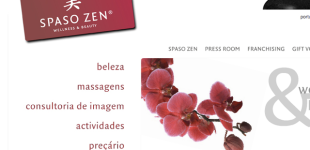 Spaso Zen Logotipo + Site